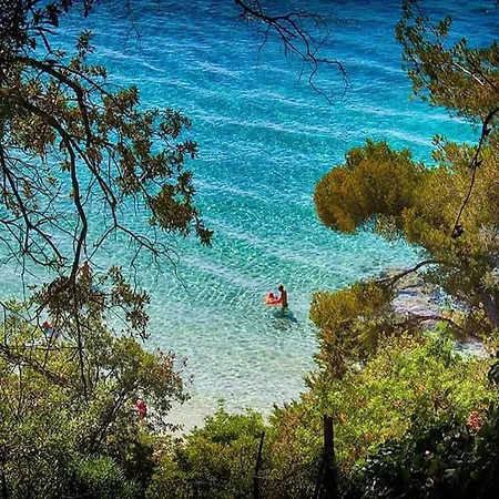 Un Sejour Ideal Au Lavandou ! Apartment *